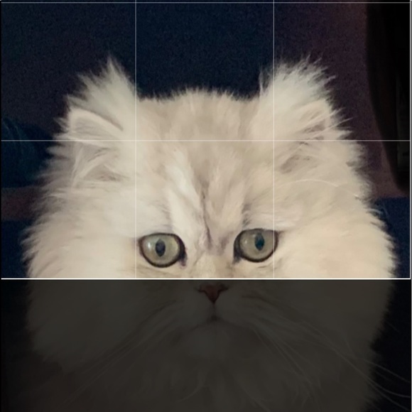 Posh Party 🎉 - Picture 5 of 6